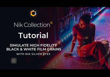 google nik collection tutorial