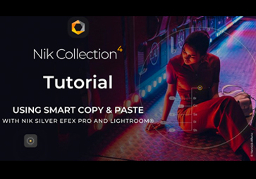 using nik collection in lightroom